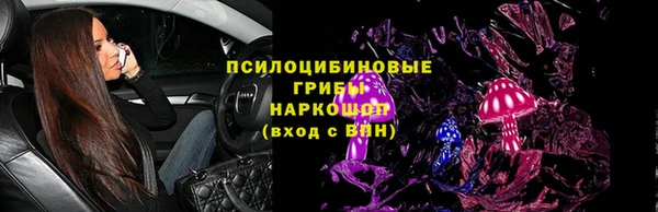 мескалин Новодвинск