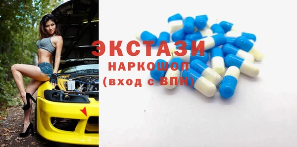 соль ск Новозыбков