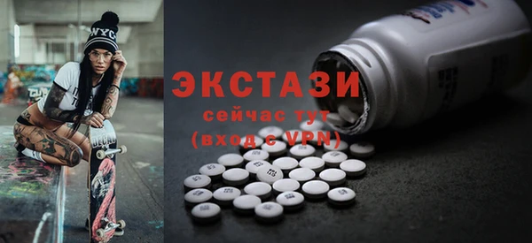соль ск Новозыбков