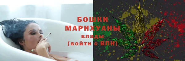 соль ск Новозыбков
