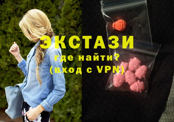 соль ск Новозыбков