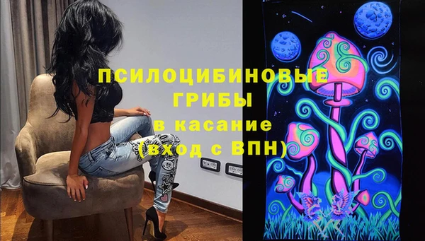 герыч Новокубанск