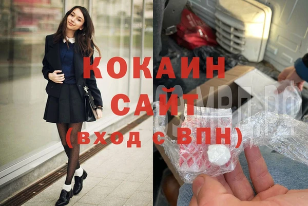 соль ск Новозыбков