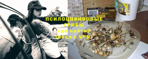 соль ск Новозыбков