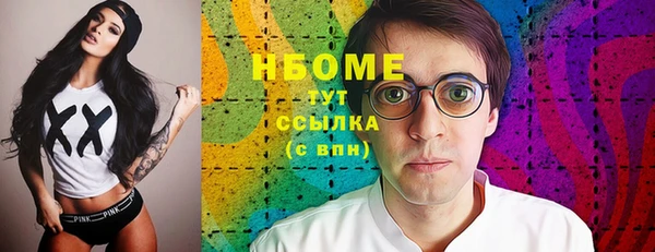 соль ск Новозыбков