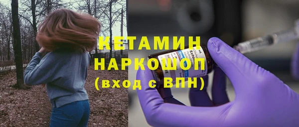 соль ск Новозыбков